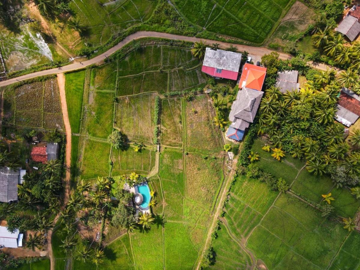 Nelu Villa Szigirija Kültér fotó