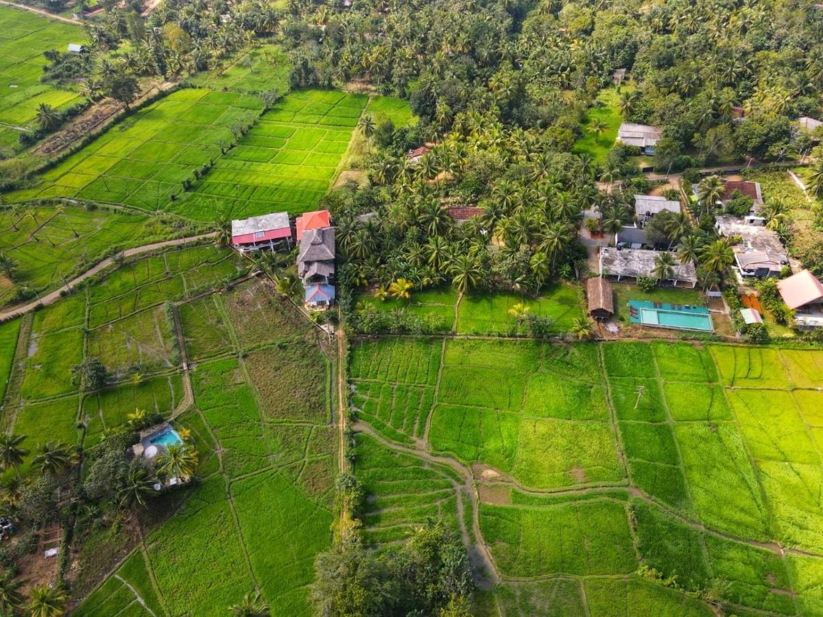 Nelu Villa Szigirija Kültér fotó