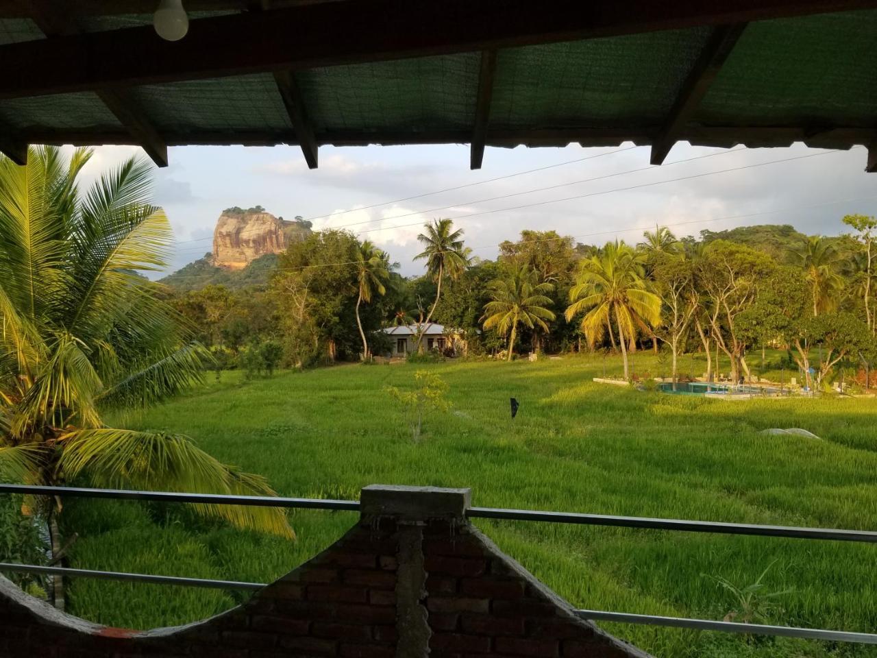 Nelu Villa Szigirija Kültér fotó