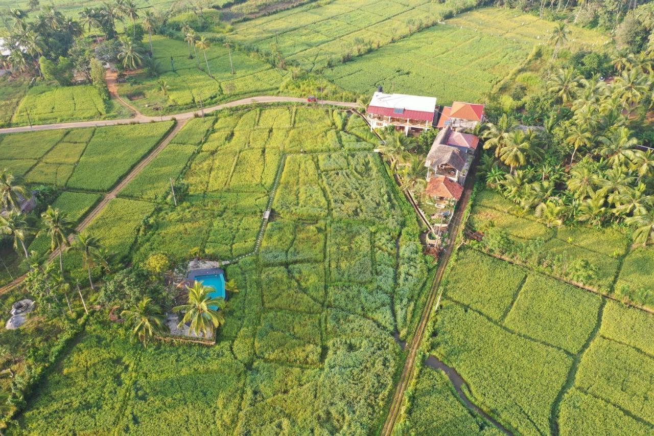 Nelu Villa Szigirija Kültér fotó